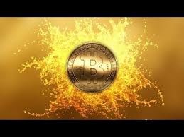 Drymate Cargo Liner Seat Cover What Is Bitcoin Mining Bitcoin Coins