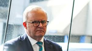 Anthony Albanese says he doesn't know about negative gearing probe by  Treasury