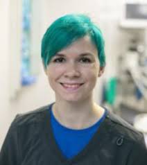 Veterinarian In Richmond, VA