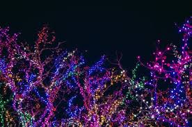 #lights #bright lights #flashing lights #christmas lights #christmas #visual #background noise #visually pleasing #light show #christmas light show #youtube #rambalac. 100 000 Best Christmas Lights Photos 100 Free Download Pexels Stock Photos
