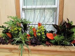 Artificial window box and flower troughs from evergreen direct are the perfect addition to transform your property's exterior! World Is More Beautiful With Plants In Window Boxes