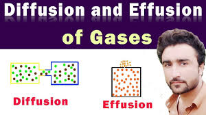 Diffusion And Effusion Of Gases In Urdu Hindi Lecture In 2020 Lecture Diffuser Gas