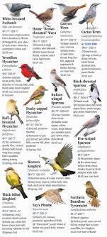 Birds Of Southeast Arizona Quick Reference Publishing