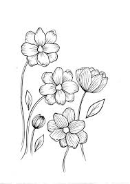 Here you can explore hq wildflower polish your personal project or design with these wildflower transparent png images. Wild Flowers Pdf Coloring Page Etsy Wildflower Drawing Coloring Pages Easy Flower Drawings