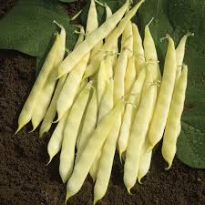 Check spelling or type a new query. Serpedor Romano Bean Vegetables Veseys