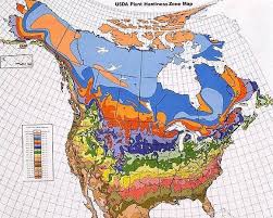 Hardiness zone and heat zone map tell you the same thing from two different perspectives. What Is A Hardiness Zone Lovetoknow