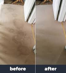 Our passion for carpet cleaning shows! Carpet Cleaning Cardiff Award Winning Carpet Cleaners