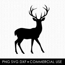 Danielle Gillum (danimcdaniel13)