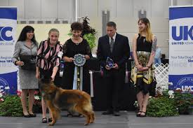We did not find results for: Unofficial Results 2019 Top Ten And All Star United Kennel Club Ukc