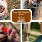 Fruity Pickin‘ Storytime - Pecans - Millstone Creek Orchards, 506 Parks Crossroads Church Rd Event Image