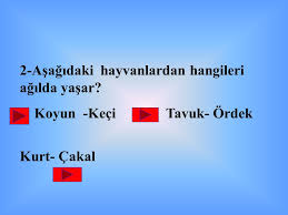 Hazirlayan Adi Soyadi Suzan Pinar Akulke Sinif No 3 C Ppt Video Online Indir