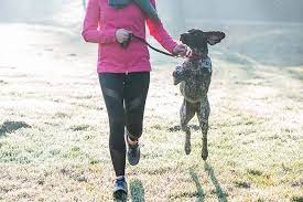 Don't make your dog push to please you, or make them feel that they've failed you by not running far enough. How To Train Your Dog To Run With You Running With Dogs Tips Tricks