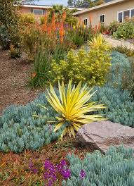 Biancheria Da Letto Per Colore Combinazione Di Piante In Blu E Giallo Biancheria Colore Combi In 2020 Drought Tolerant Garden Mediterranean Landscaping Xeriscape