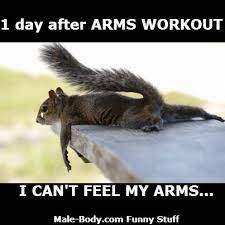 Sore Arms The Next Day Of Arms Workout Workout Memes Workout Quotes Funny Gym Humor
