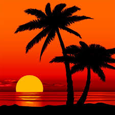 You can also upload and share your favorite sunset palm tree wallpapers. Beach Seaside Summer Holidays Ocean Sunset Palm Tree Background Vinyl Cloth Computer Print Wedding Photo Backdrop Wedding Photo Backdrops Photo Backdropsvinyl Cloth Aliexpress