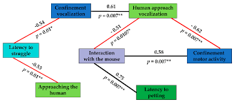 Animals Free Full Text Evidence For Individual Differences In Behaviour And For Behavioural Syndromes In Adult Shelter Cats Html