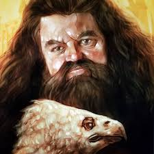 Barry Sachs (@sachsillustration) • Instagram photos and videos