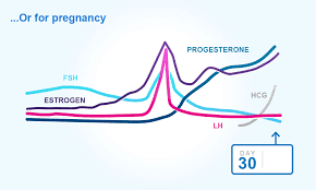 13 Prototypical Understanding Ovulation Chart