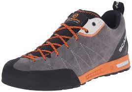 Did you scroll all this way to get facts about cholla cactus? The Best Climbing Approach Shoes In 2021 The Complete List