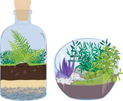 Terrarium Workshop: Enclosed And Open Terrariums