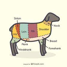 For the butchers shop or restaurant menu. Free Vector Lamb Cuts Chart