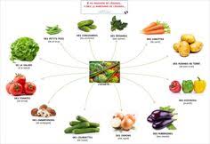Les Produits 2 Et 3 Au Magasin De Fruits Et De Legumes Chez Le Marchand De Fruits Et De Legumes Fle A L A1