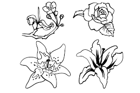 Download Flower Outline Silhouettes Svg Cut File By Creative Fabrica Crafts Creative Fabrica PSD Mockup Templates