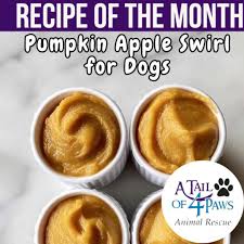 Pumpkin Apple Swirl for Dogs 🎃🍏🐶❄️ Ingredients: