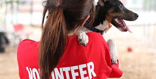 Adoption fees are as follows: Donations Volunteers