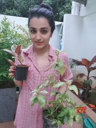 Brooks announced wednesday that the couple have been quarantining. Actress Trisha Krishnan Accepted The Green India Challenge From Prakash Raaj And Planted Saplings At Her Residence Social News Xyz
