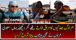 When it comes to hydration, water, electrolyte beverages. Saudi People Drinking Camel Urine For Good Health Video Dailymotion