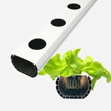 Diese website benutzt cookies, die für den technischen betrieb der website erforderlich sind und stets gesetzt werden. Nft Rinnen Pflanzgefasse Hydroponik Kuchenfrisch De