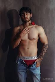 Adorable gay porn stars - charming looks and bodies