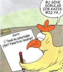 Tavuk Karikaturleri Komik Karikatur Tavuk