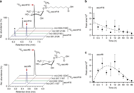 Adults take it for granted that plants need sunlight and water to live and grow, however young children, to whom the world is still new, may yet be coming to an understanding and appreciation of this basic fact. Plant Metabolism Of Nematode Pheromones Mediates Plant Nematode Interactions Nature Communications