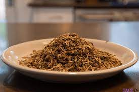 Kava Tea Drink Effects Benefits Anxiety And Side Effects Factdr
