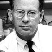 Linthicum Family Obituaries