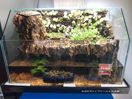 The penn plax aqua terrarium planting tank with aquarium is the latest in aquatic ecosystems. Aquascape Aquarium Waterfall Aquascape Ideas