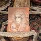 Unshackled: A Guided Shamanic Journey to the... event in Ithaca, NY