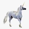 72 fabulous realistic unicorn coloring pages. 1