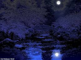 Japanese Garden At Night Japanese Garden Night Garden Japanese