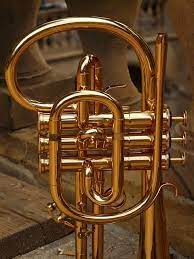 Free Image On Pixabay Flugelhorn Brass Instrument Horn Brass Instrument Brass Musical Instruments Brass Instruments