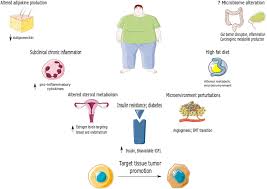 Body mass index (bmi) is a popular method of defining a healthy weight. Obesity And Cancer Risk Emerging Biological Mechanisms And Perspectives Metabolism Clinical And Experimental
