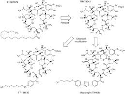 Image result for Micafungin