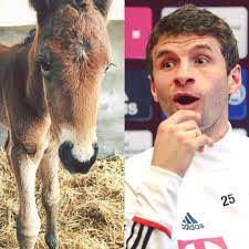 James Oettinger's Instagram, Twitter & Facebook