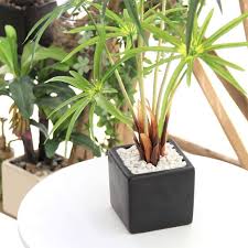 光触媒フェイクグリーンの 造花ドットコム 造花 シペラス グリーン