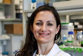 The epitranscriptome