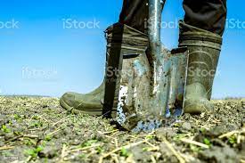 Foto De Imagem Do Agricultor Masculino Em Borracha Botas Didgging No Jardim E Mais Fotos De Stock De Bota Istock