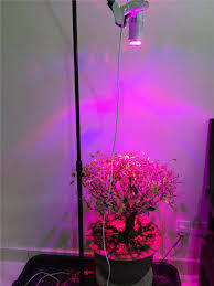 Pin On Led Grow Lights For Indoor Plants
