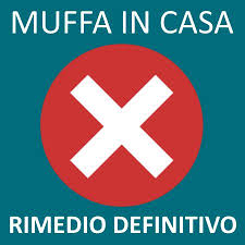 Eliminare Muffa Dai Muri Definitivamente Muffa Pulizia Muri Pulizia Della Doccia Rimedi Pulizia Della Casa